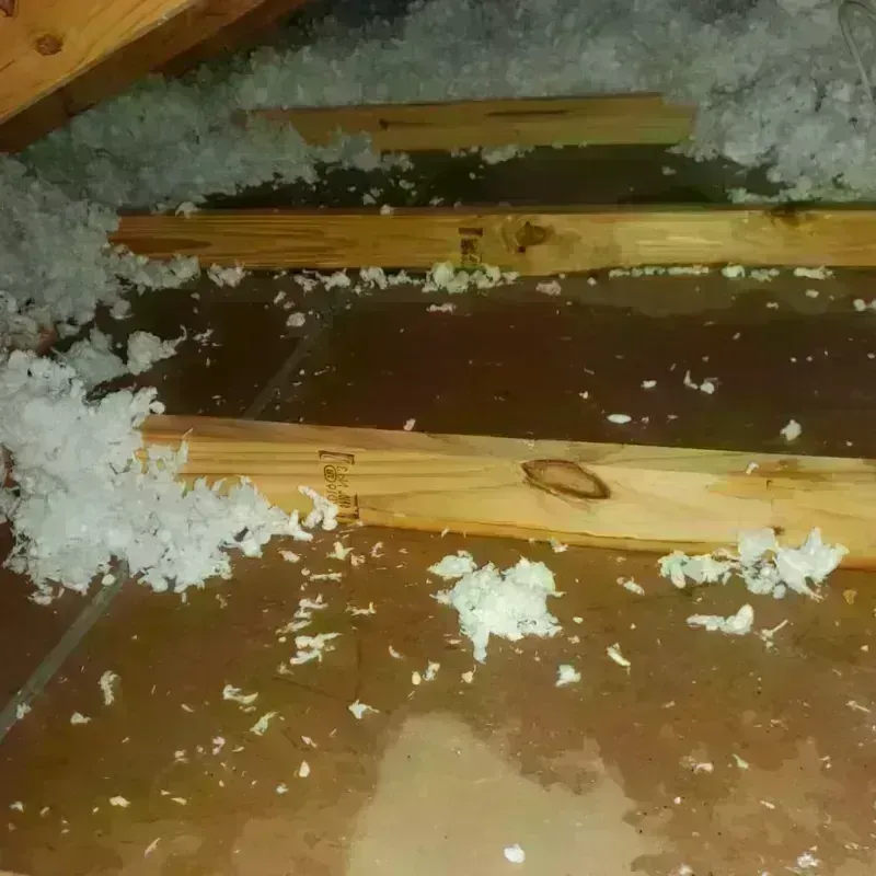 Attic Water Damage in Westford, MA